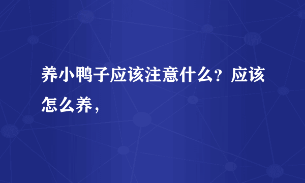 养小鸭子应该注意什么？应该怎么养，