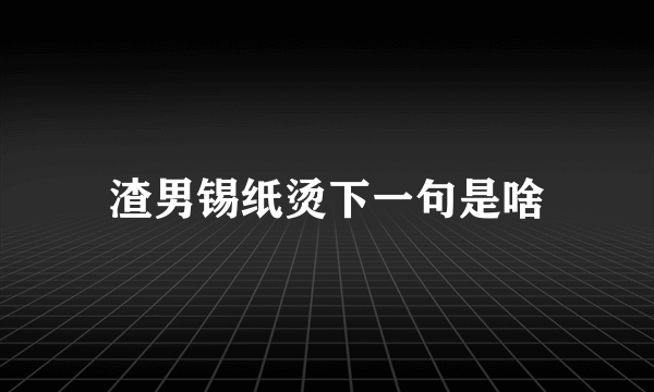 渣男锡纸烫下一句是啥