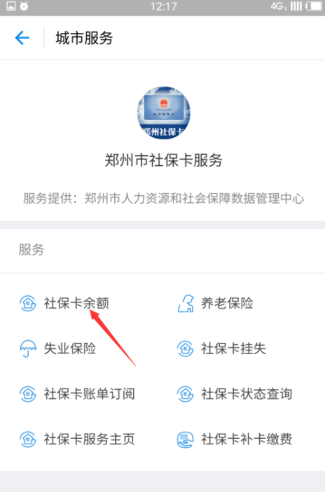 在网上怎么查社保卡查询余额？