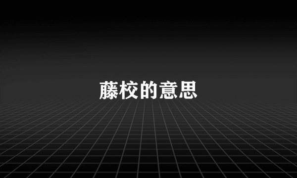 藤校的意思