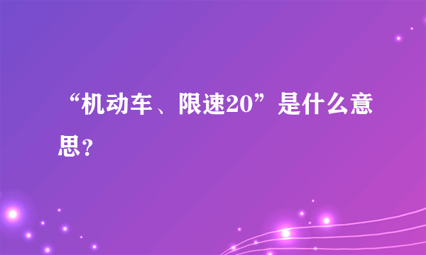 “机动车、限速20”是什么意思？