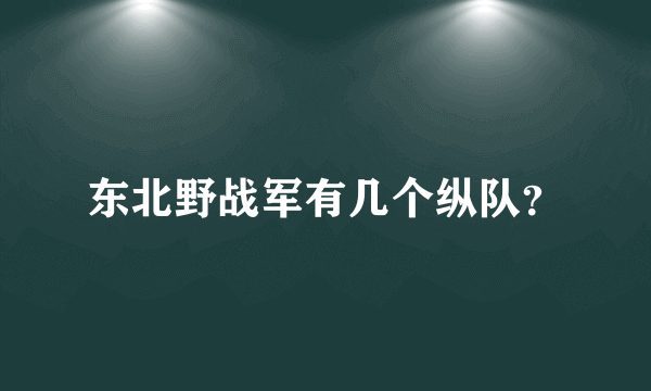 东北野战军有几个纵队？