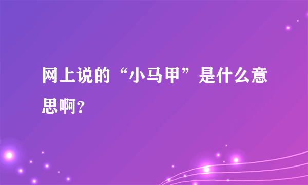 网上说的“小马甲”是什么意思啊？