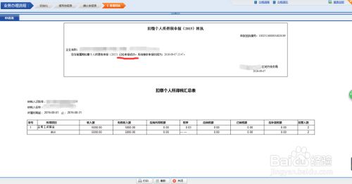 四川税务网上申报流程？