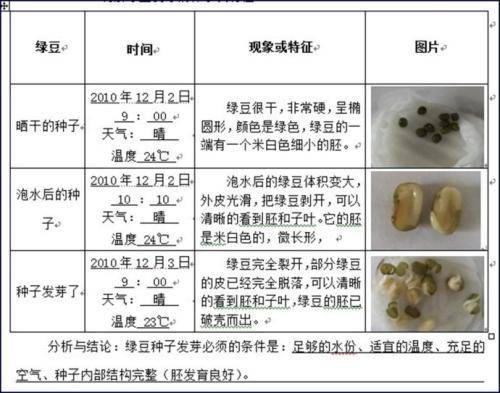 绿豆生长的过程(表格)