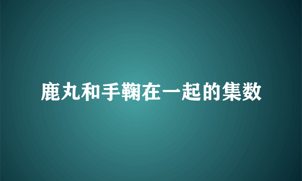 鹿丸和手鞠在一起的集数