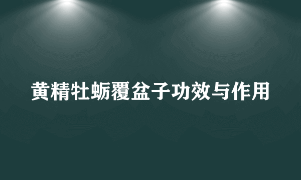 黄精牡蛎覆盆子功效与作用