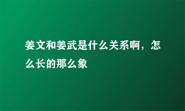 姜文和姜武是什么关系啊，怎么长的那么象