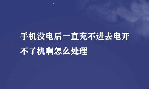 手机没电后一直充不进去电开不了机啊怎么处理