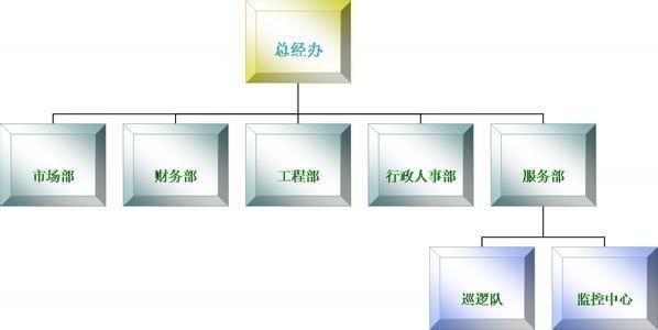 有限责任公司的股东人数是多少?