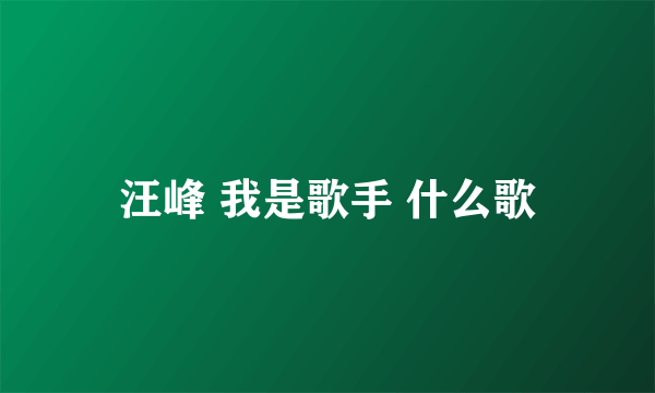 汪峰 我是歌手 什么歌