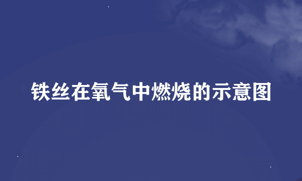 铁丝在氧气中燃烧的示意图