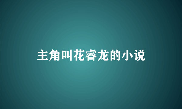 主角叫花睿龙的小说