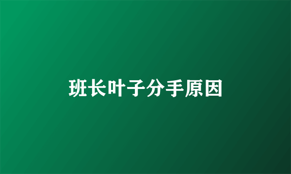 班长叶子分手原因