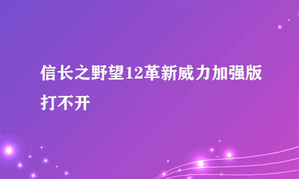 信长之野望12革新威力加强版打不开