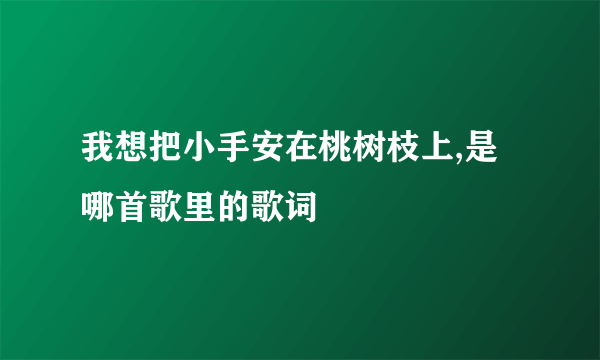 我想把小手安在桃树枝上,是哪首歌里的歌词