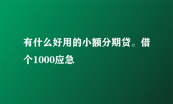 有什么好用的小额分期贷。借个1000应急