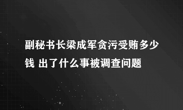 副秘书长梁成军贪污受贿多少钱 出了什么事被调查问题