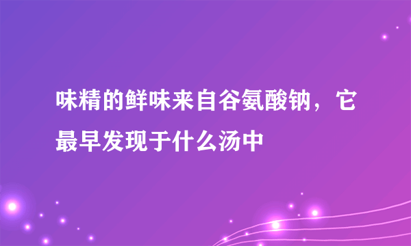 味精的鲜味来自谷氨酸钠，它最早发现于什么汤中