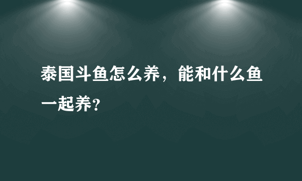 泰国斗鱼怎么养，能和什么鱼一起养？