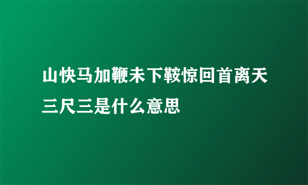 山快马加鞭未下鞍惊回首离天三尺三是什么意思