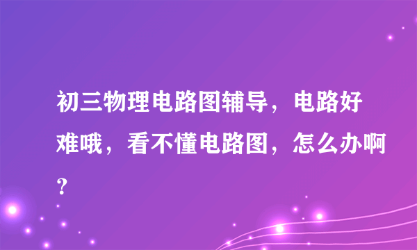 初三物理电路图辅导，电路好难哦，看不懂电路图，怎么办啊？