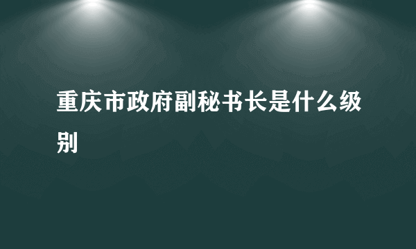 重庆市政府副秘书长是什么级别