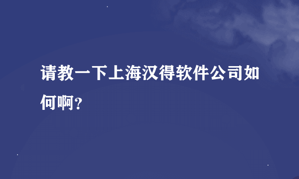 请教一下上海汉得软件公司如何啊？