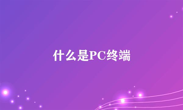 什么是PC终端