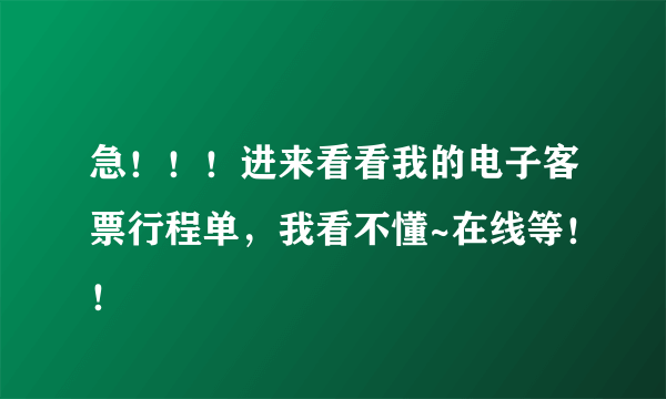 急！！！进来看看我的电子客票行程单，我看不懂~在线等！！