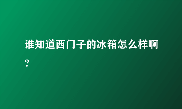 谁知道西门子的冰箱怎么样啊？