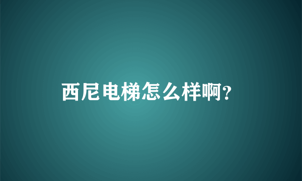 西尼电梯怎么样啊？