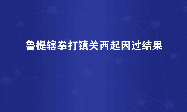 鲁提辖拳打镇关西起因过结果