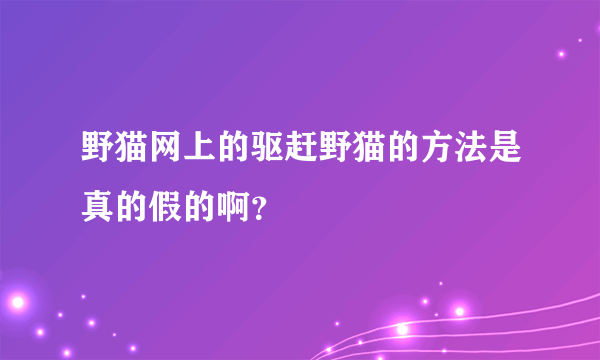 野猫网上的驱赶野猫的方法是真的假的啊？