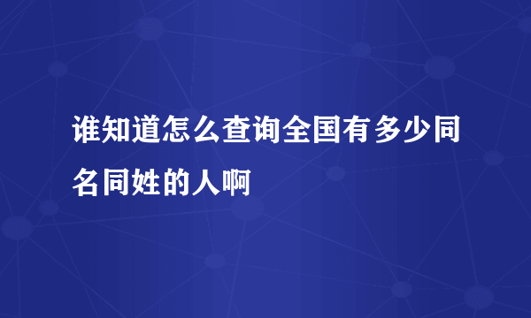 谁知道怎么查询全国有多少同名同姓的人啊