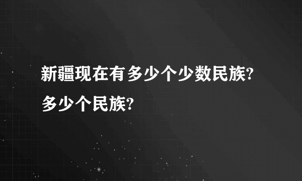 新疆现在有多少个少数民族?多少个民族?