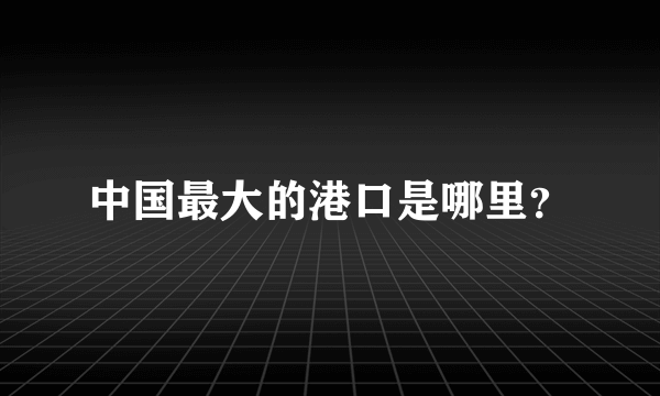 中国最大的港口是哪里？