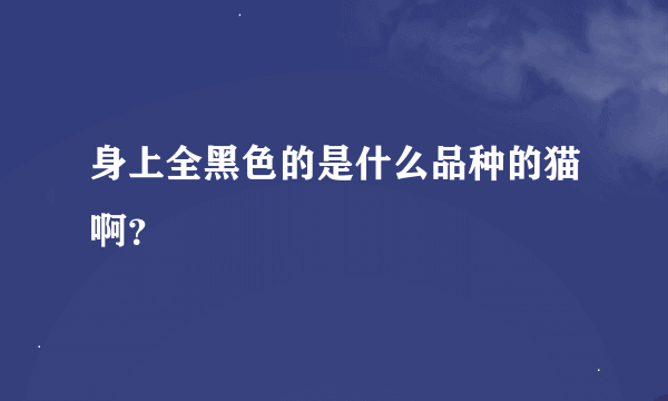 身上全黑色的是什么品种的猫啊？