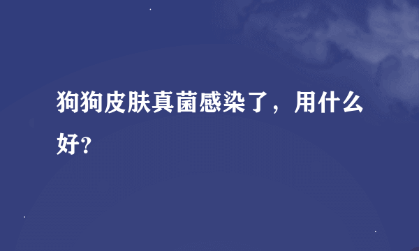 狗狗皮肤真菌感染了，用什么好？