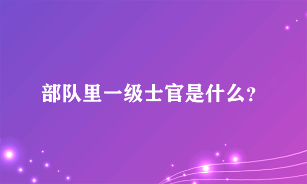 部队里一级士官是什么？