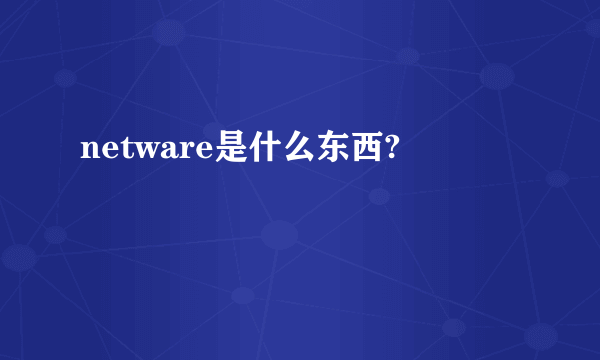 netware是什么东西?