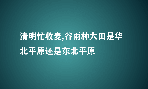 清明忙收麦,谷雨种大田是华北平原还是东北平原