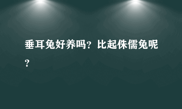 垂耳兔好养吗？比起侏儒兔呢？