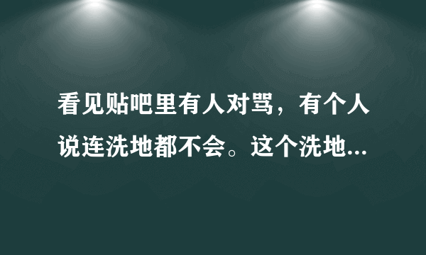 看见贴吧里有人对骂，有个人说连洗地都不会。这个洗地是什么意思?还有洗白又是什么意思?