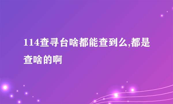 114查寻台啥都能查到么,都是查啥的啊