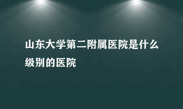 山东大学第二附属医院是什么级别的医院