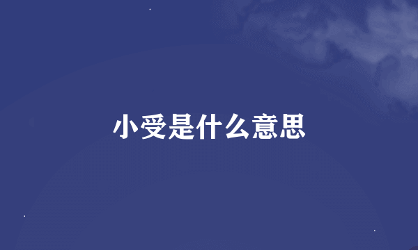 小受是什么意思