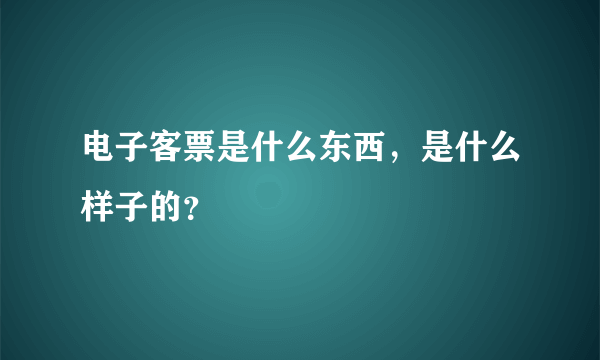 电子客票是什么东西，是什么样子的？