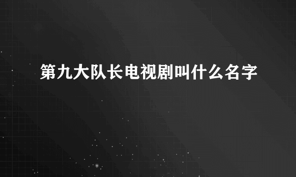 第九大队长电视剧叫什么名字