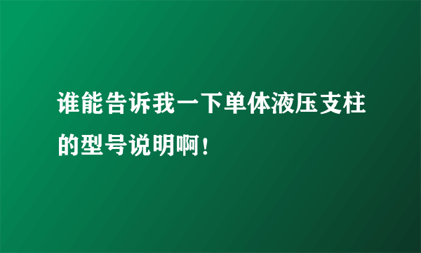 谁能告诉我一下单体液压支柱的型号说明啊！